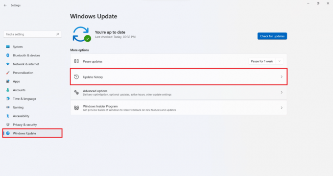 Windows uppdateringsfliken i inställningarna Windows 11