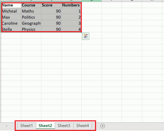 Agora, sua planilha está dividida em vários arquivos por linha | Como dividir o arquivo do Excel em vários arquivos por linha