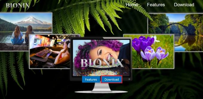 Noklikšķiniet uz pogas Lejupielādēt BioniX mājaslapā. Kā iestatīt animētu fona attēlu operētājsistēmā Windows 10