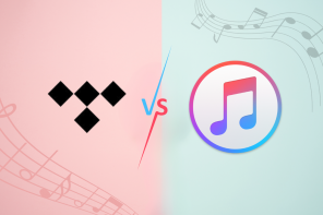 Potvynis vs. „Apple Music“: koks yra geriausias pasirinkimas – „TechCult“.