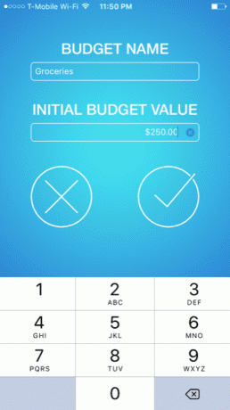 Mint Budge Budget Shopping iOS-Apps 1