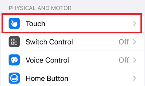Under Fysisk og Motorisk sektion skal du trykke på Touch-indstillingen