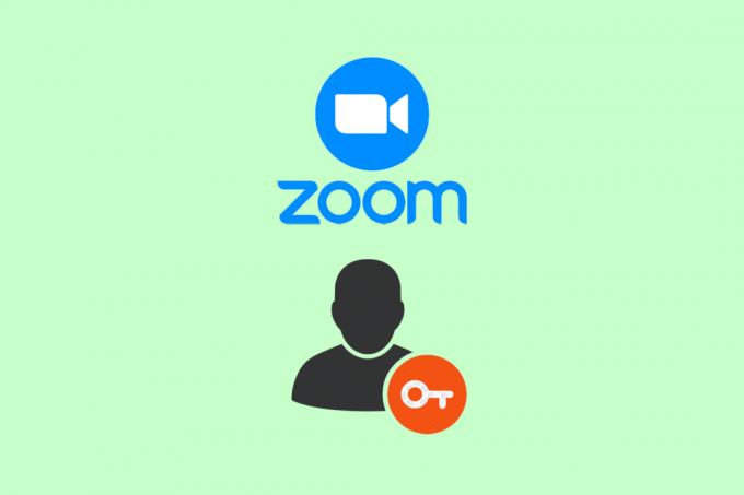 Hvordan får jeg tilgang til Zoom-kontoen min