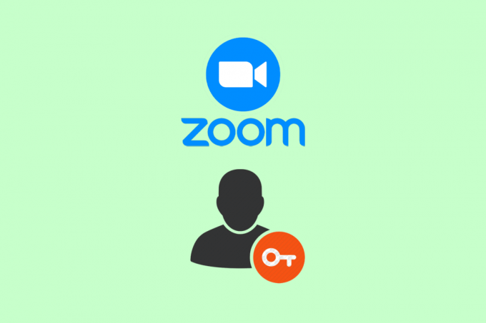 ฉันจะเข้าถึงบัญชี Zoom ของฉันได้อย่างไร