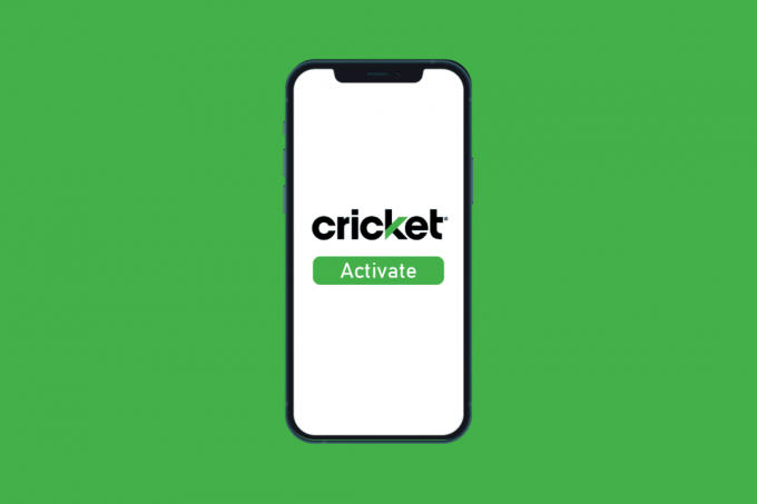 So aktivieren Sie Cricket am Telefon