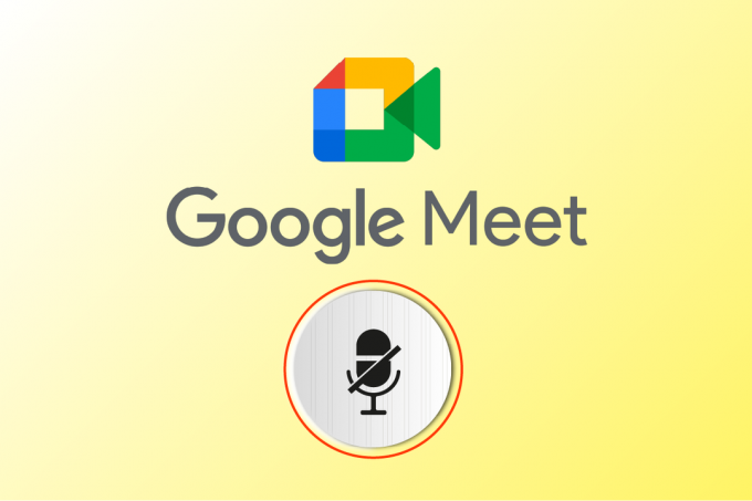 Åtgärda att din mikrofon är avstängd av systeminställningar i Google Meet