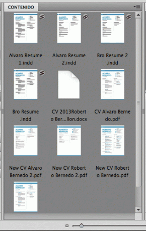 Adobe Bridge გადახედვა დიზაინის ფაილებში