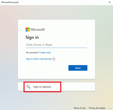 დააწკაპუნეთ შესვლის ვარიანტებზე | როგორ მოვძებნოთ ადმინისტრატორის პაროლი Windows 10-ზე