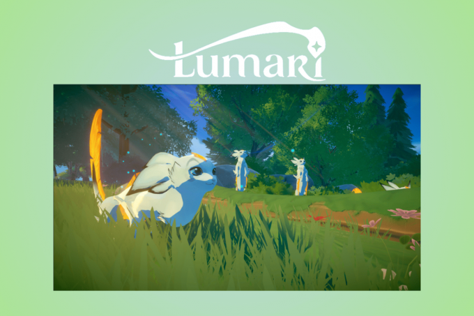 Proxima tillkännager Lumari ett socialt sandlådeäventyrsspel