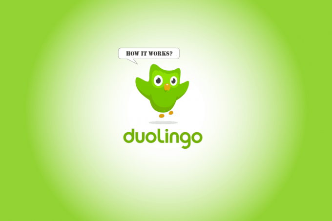Kaj je Duolingo in kako Duolingo deluje? Namigi in triki