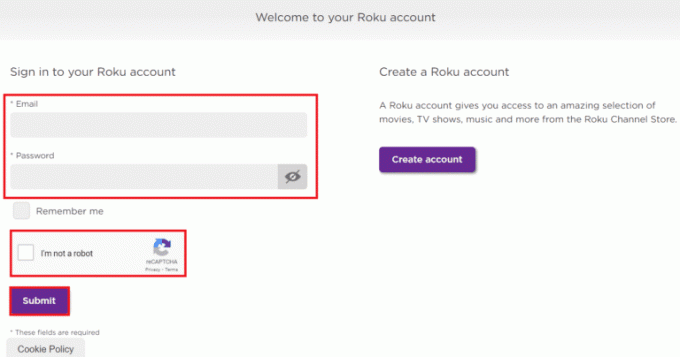 Geben Sie E-Mail und Passwort auf der Roku-Homepage ein