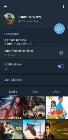 Telegrammkanal für Hindi-Filme