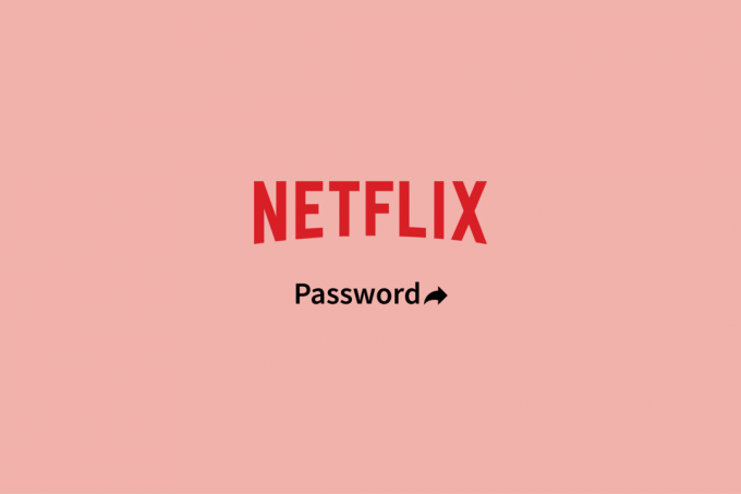 Zakaj je nezakonito deliti svoje geslo za Netflix?