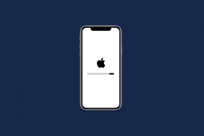 Kako popraviti iPhone XR, ki se je zataknil na logotipu Apple