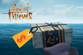 Где продать скромный подарок в Sea of ​​Thieves? – ТехКульт
