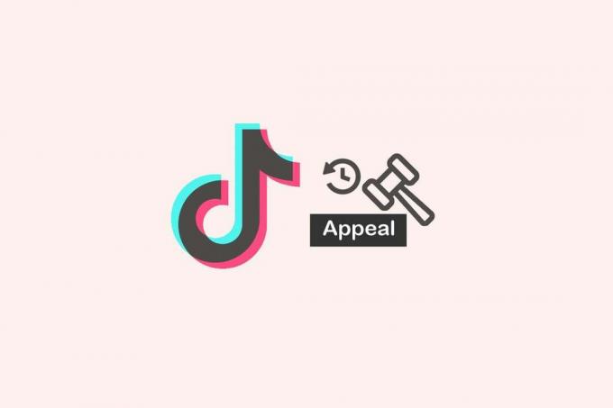 ¿Cuánto tardan las apelaciones en tiktok?