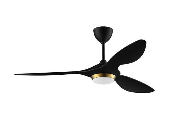 Labākie viedie griestu ventilatori Reiga Smart Ceiling Fan
