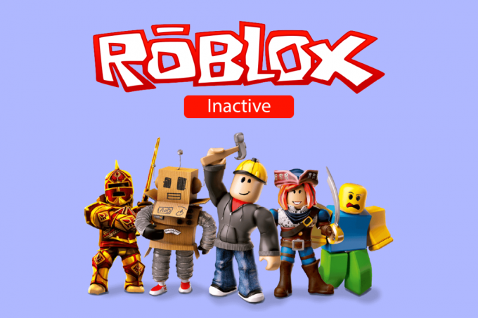 Vad betyder inaktiv på Roblox?
