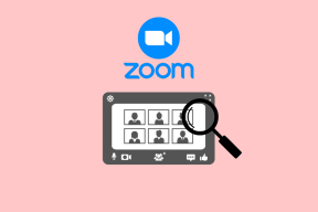 Cómo habilitar la vista previa de la reunión de Zoom antes de unirse – TechCult
