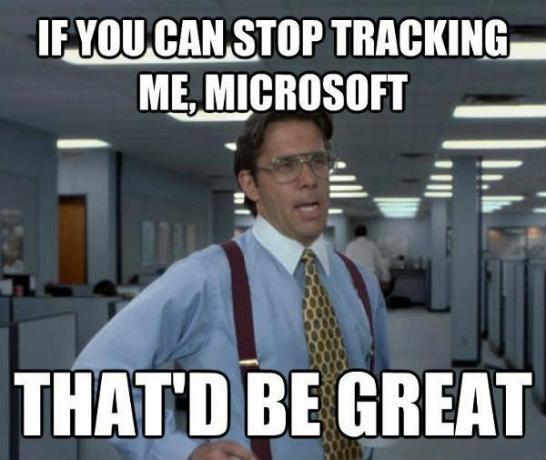 ქალბატონი Windows Tracking Meme