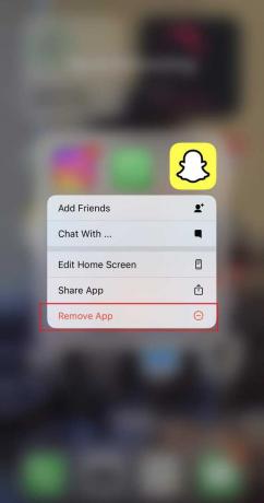 إزالة التطبيق. إصلاح استمرار تعطل Snapchat على iPhone