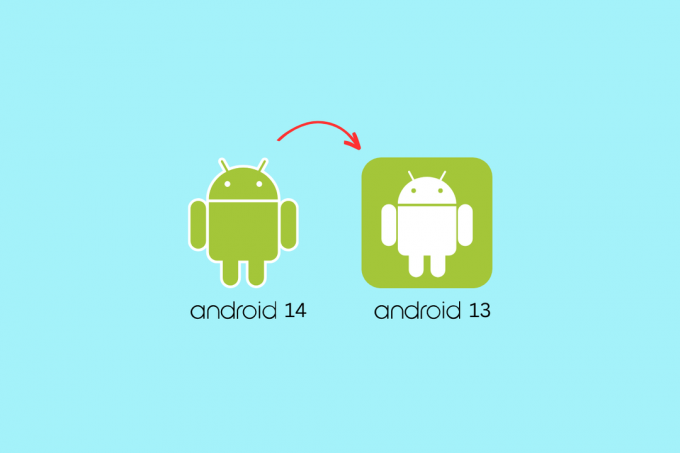 Android 14에서 Android 13으로 다운그레이드하는 방법