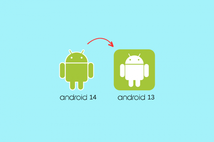 Kaip grąžinti ankstesnę versiją iš „Android 14“ į „Android 13“.