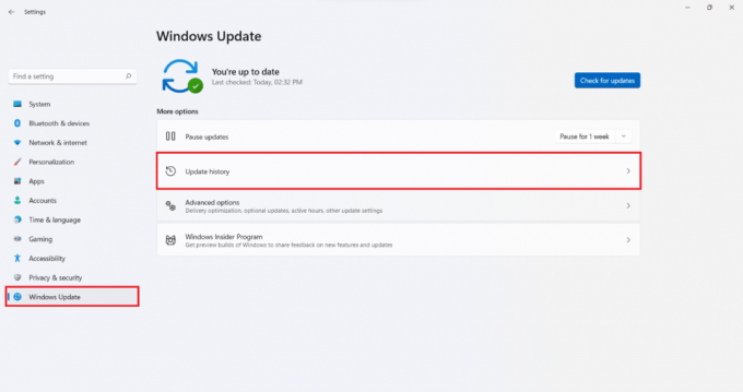 Tabblad Windows-update in instellingen. Hoe kritieke proces stierf-fout in Windows 11 op te lossen