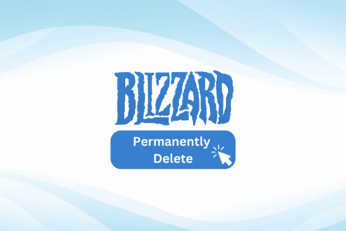 Πώς μπορώ να διαγράψω οριστικά τον λογαριασμό μου Blizzard