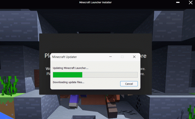 Sāksies Microsoft palaidēja lejupielāde. Kā bez maksas iegūt Windows 10 Minecraft Edition