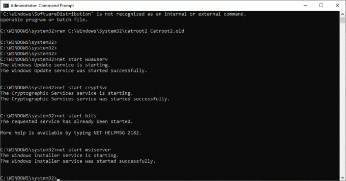 net start wuauserv net start cryptSvc net start bitleri net start msserver