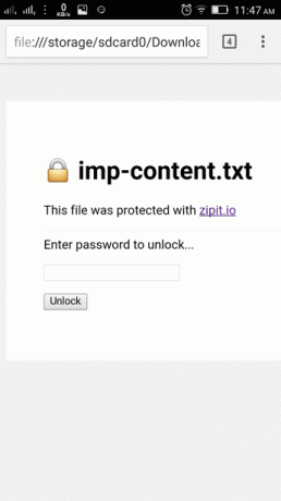 „Zipit“ HTML puslapis „Chrome“.