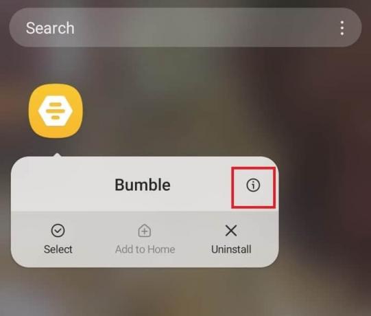 Izberite Informacije o aplikaciji. 10 načinov, kako popraviti zataknjen bumble na nalagalnem zaslonu