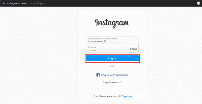 Kirjoita salasanasi ja napsauta sitten kirjaudu sisään. | Kuinka korjata mustat Instagram-kuvat