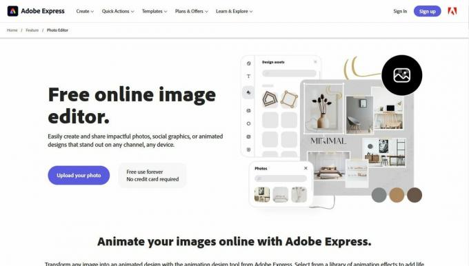 Adobe Express | Instagram fotoredigerare online