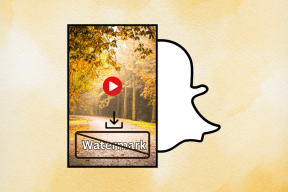 Cum să descărcați videoclipuri Snapchat fără filigran - TechCult