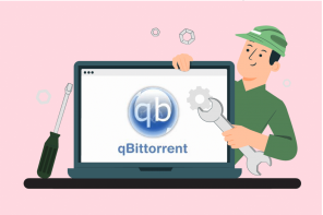 Виправити помилку введення-виведення Qbittorrent у Windows 10