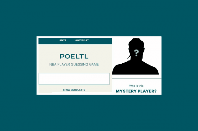 Poeltl Game: NBA Player Guessing Game