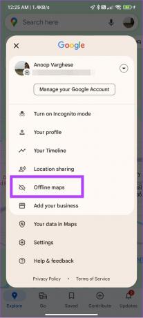 mappe offline in Google Maps 2