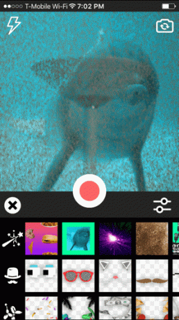 Giphy Cam Effects Gifs Animati App 1