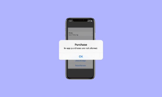 Pataisykite „iPhone In App Purchase“ klaidą