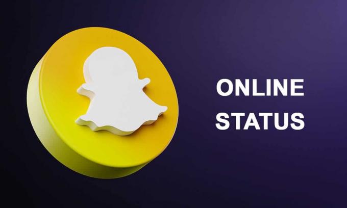 Hur man vet om någon är online på Snapchat