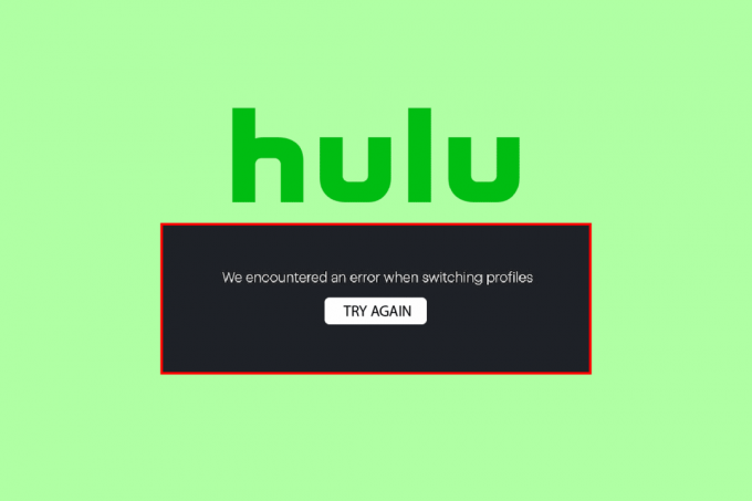 Åtgärda Hulu Switch Profile Error i Windows 10