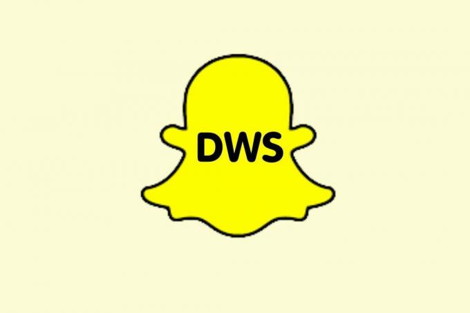 Wat betekent DWS op Snapchat