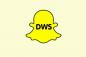 DWS, Snapchat'te Ne Anlama Geliyor? – TechCult