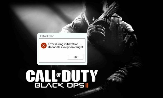 Opravte nespracovanú výnimku CoD Black Ops 2 zachytenú v systéme Windows 10