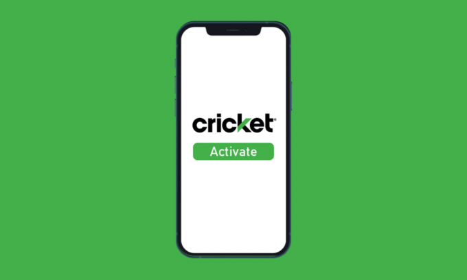 So aktivieren Sie Cricket am Telefon