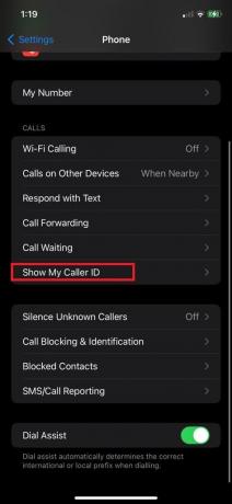 Érintse meg a Saját hívóazonosító megjelenítése | hogyan lehet blokkolni a kimenő hívásokat iPhone-on