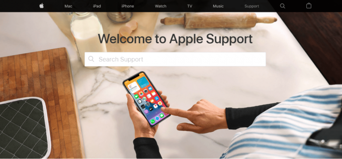 Pagina di supporto Apple. Come accedere all'account Apple