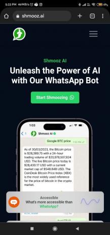  Besuchen Sie die Shmooz AI-Website. 